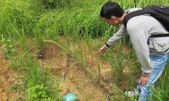 Ly kỳ những phi vụ ‘kền kền’ trộm xác tử tù ở nghĩa địa tại Sài thành