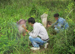 Những trò quái gở lúc nửa đêm trong nghĩa địa tử tù Sài thành