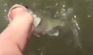 'Choáng' với tuyệt chiêu câu cá chớp nhoáng bằng chân