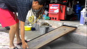 Video: Muôn kiểu bậc tam cấp độc đáo của người Hà Nội sau 'dẹp loạn' vỉa hè