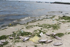 Tìm ra nguyên nhân sự cố tràn nước thải ở nhà máy đường Khánh Hòa