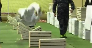 Cậu bé 16 tuổi lộn santo, dùng đầu đập 111 tấm bê tông trong 35 giây