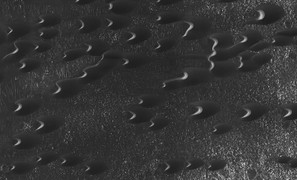 Phát hiện đàn sinh vật ngoài hành tinh trên sao Hỏa