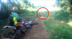 Xuất hiện người tí hon nghi là thành viên bộ lạc trong truyền thuyết