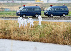 Việt Nam phối hợp Nhật Bản điều tra vụ bé gái 9 tuổi bị sát hại