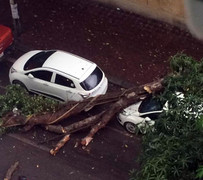 Cây xanh gãy đổ đè trúng ô tô trên phố Hà Nội trong cơn dông