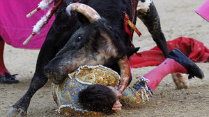 Kĩnh hãi cảnh bò tót nặng gần nửa tấn húc thủng cổ đấu sĩ