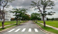 Địa ốc 24h: Cẩn trọng với cơn 'sốt ảo' của đất nền TP.HCM