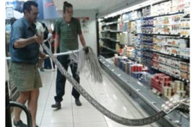 Khách hàng phát hoảng khi thấy trăn đá khổng lồ ẩn mình trong siêu thị