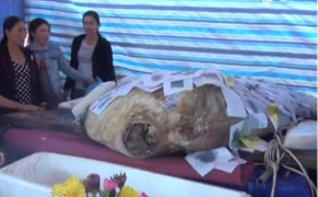 An táng cá Bà Bằng hiếm gặp, nặng gần nửa tấn ở Quảng Ngãi