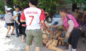 Tài xế chở hàng cồng kềnh bỏ chạy, kéo ngã CSGT xuống đường