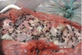 Bắt giữ 400 kg nầm lợn tẩm hóa chất nhập từ Trung Quốc