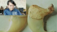 Hành trình truy tìm, dụ trùm buôn bán móng hổ qua facebook lộ diện