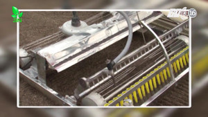 Người nông dân học hết lớp 7 chế robot khiến nhiều người thán phục