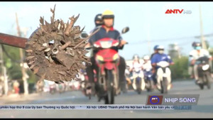 'Đinh tặc' bất lương lại tác quái sau thời gian im ắng