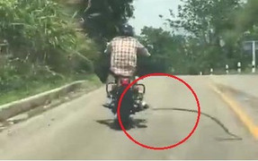 Rắn đột ngột quăng mình tấn công người đi xe máy