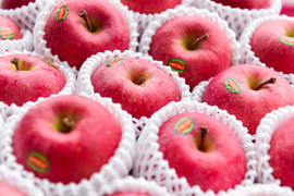 Táo Nhật trăm nghìn một quả vẫn đắt khách