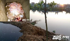 Đột kích lò mổ chui, rùng mình trước quy trình giết mổ siêu bẩn