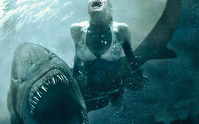 Tắm biển, thiếu nữ bị cá mập cắn chết