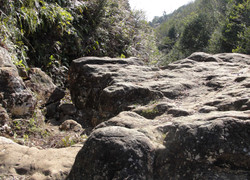 Chuyện kể rợn người của thợ săn được ‘ma nữ’ cứu sống khỏi vuốt hổ