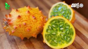 Thực hư 'dưa chuột Nhật Bản' giá gần 400.000 đồng/quả