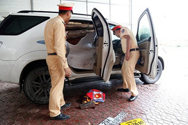 Bắt giữ xe chở 1 tấn gỗ trắc lậu cùng lô biển số giả