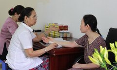 Giải mã ‘thần dược 300 năm’ cứu mạng người rối loạn tiền đình của bà lang Việt