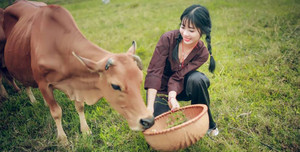 Ảnh kỷ yếu đậm chất quê của học sinh Thanh Hóa