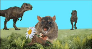 Phát hiện gây sốc: Loài động vật có vú có nọc độc ở 2 chân sau