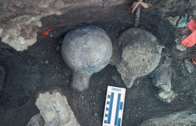 Tìm thấy hóa thạch có thể viết lại toàn bộ lịch sử loài người