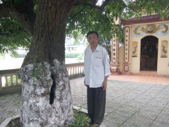 Cây 'báu vật' nghìn năm tuổi được đại gia trả giá chục tỷ đồng không bán ở Đồng Tâm