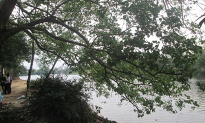 Đôi tình nhân rủ nhau nhảy sông tự tử