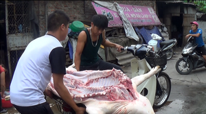 Video: Giá lợn hơi tụt dốc, dân xót xa tự mổ bán bù lỗ