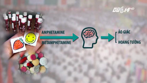 Gần 100 loại ma tuý đang đầu độc học sinh