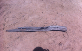 Thầy giáo tiểu học dùng cây gỗ đánh chết người