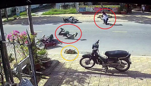 Chó chạy rông gây tai nạn liên hoàn trên đường