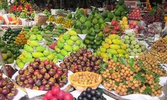 Cảnh báo 13 doanh nghiệp xuất khẩu trái cây có dấu hiệu lừa đảo