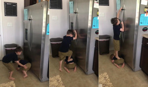 2 anh em phối hợp tác chiến, lén mở tủ lạnh khiến dân mạng phì cười