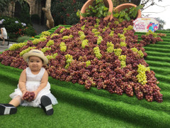 Những trải nghiệm lý thú chỉ có tại Lễ hội rượu vang Bà Nà Hills 2017