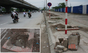 Nguyên nhân hàng loạt cây xanh trên phố Hà Nội đột nhiên biến mất