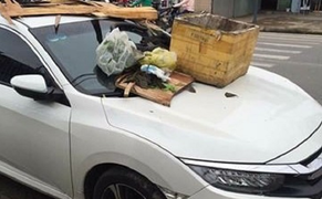 Đậu xe hơi chiếm lối đi, nắp capo ‘ăn no’ rác