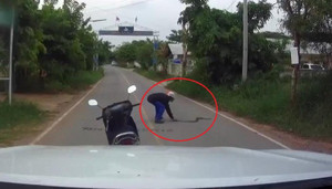 Rắn trườn qua đường bị 'cao thủ' đi xe máy tay không tóm gọn trong chớp mắt