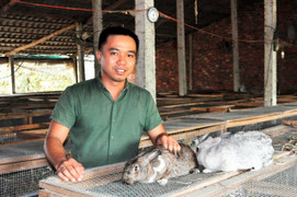 Chàng trai khởi nghiệp từ nghề nuôi thỏ, kiếm trăm triệu mỗi năm