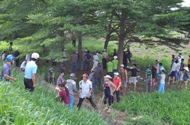 Nam thanh niên treo cổ trong rừng tràm