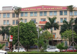 Vinagimex sử dụng con dấu Liên minh HTX Việt Nam để xuất khẩu lao động sang Đài Loan?