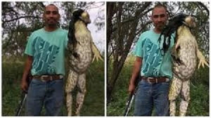 Cận cảnh 'quái vật ếch' khổng lồ to như người mới bị thợ săn Mỹ hạ gục