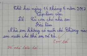 Tranh luận về bài văn 'Tả con chó nhà em': 'Đề thi tự đào hố chôn mình'