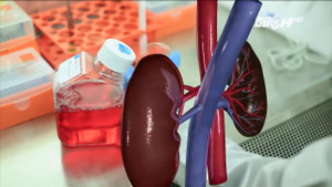 Biết thông tin này, bệnh nhân suy thận sẽ không phải lọc máu