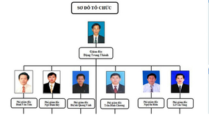 Bình Định cho 'nghỉ hưu non' hàng loạt phó giám đốc sở