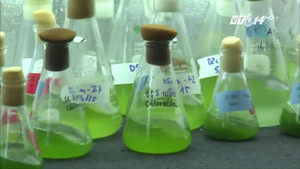 Tìm ra loại thức ăn mới sẽ cứu đói cho nhân loại trong tương lai